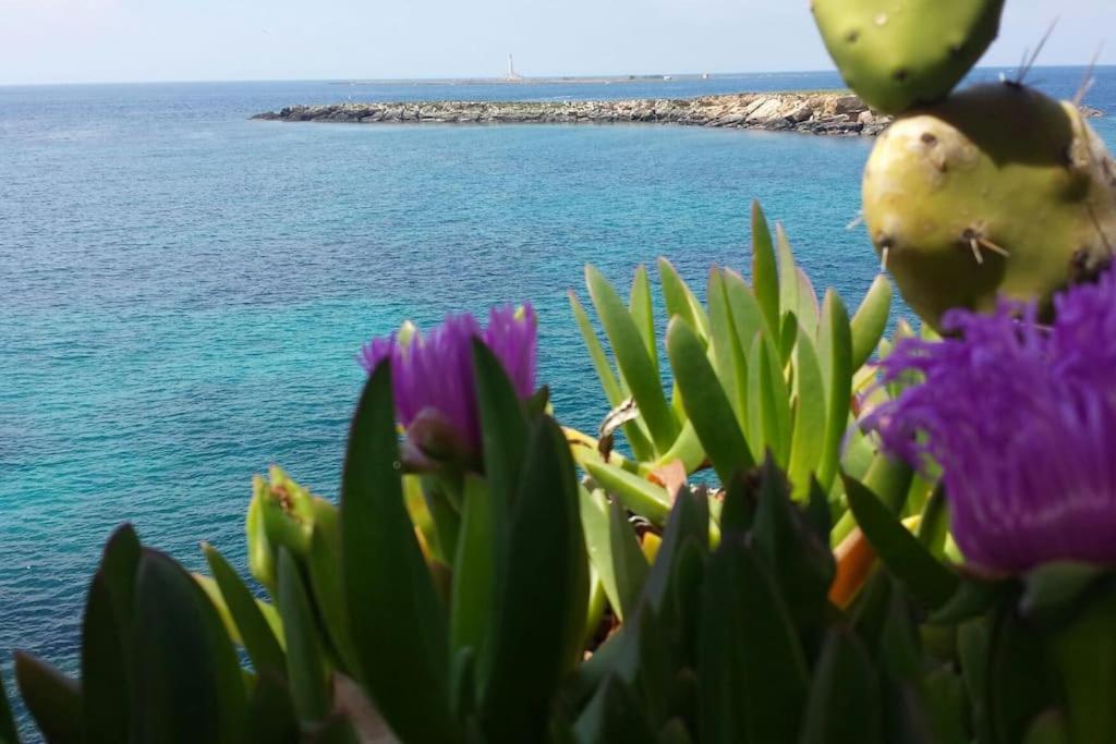 Apartment Casa Di Charme Bastioni Gallipoli